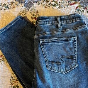 Silver Jeans Women's Straight Leg Boyfriend in Deep Blue